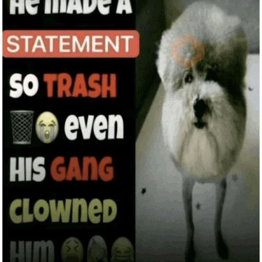 tiktok memes 4 sticker 15