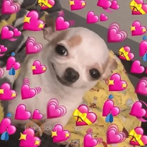 💕💖 Amor del bueno 5|Hearts💖 sticker 12