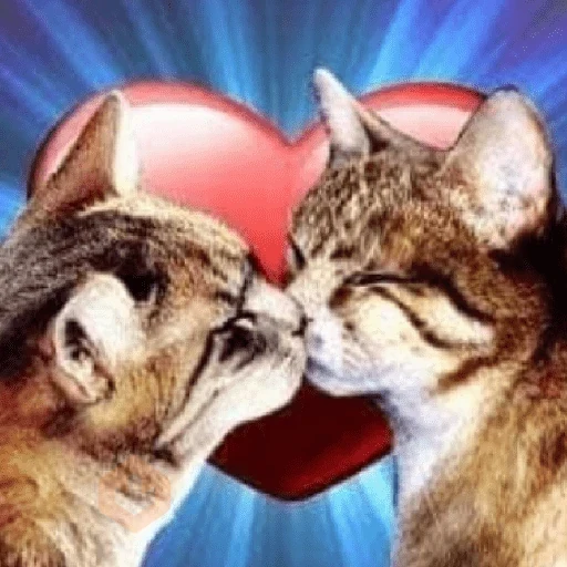 amor com safadezas sticker 12