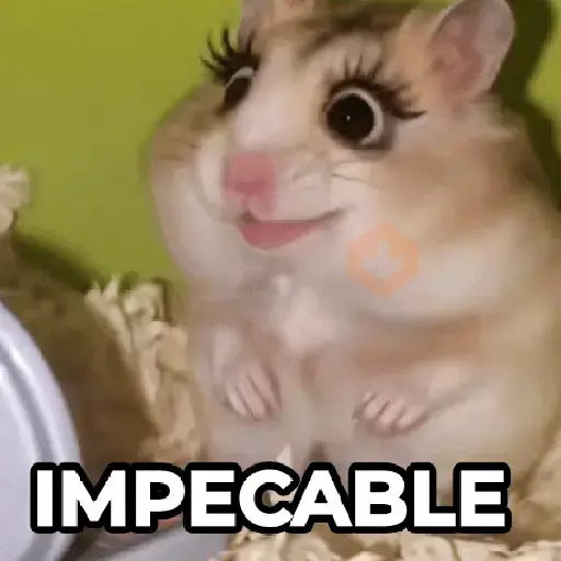 Hámster Maquillándose 💄🐹 sticker 11