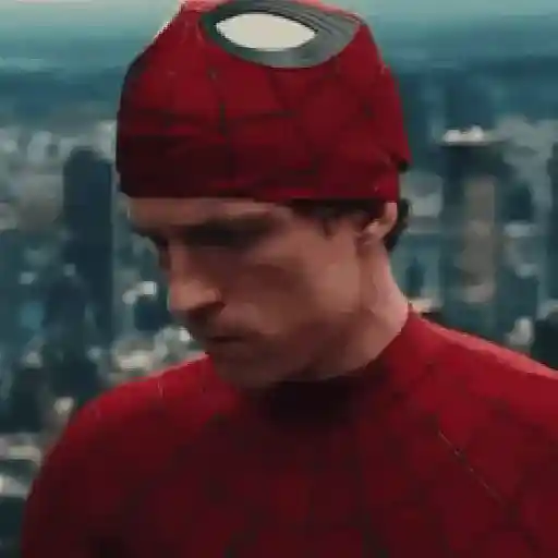 🕷TOM HOLLAND 3🦸🏻‍♂️Spider-Man🕷 sticker 11