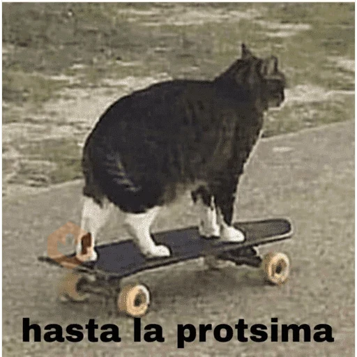 Varios 2 sticker 19