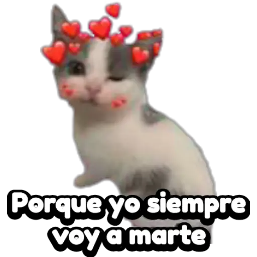 Variados 3