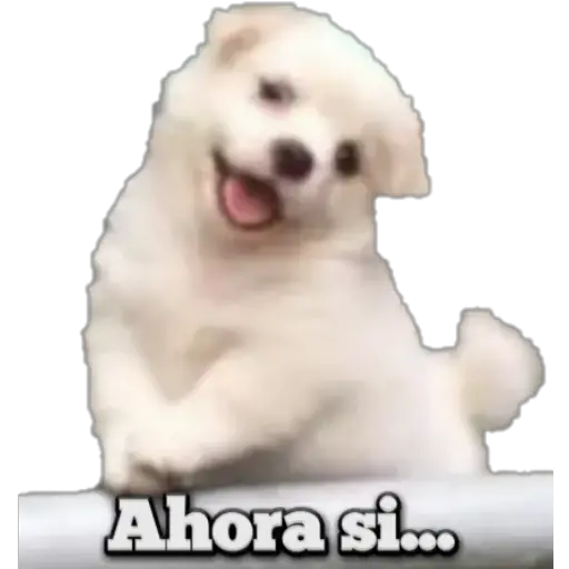 Variados 3  preview