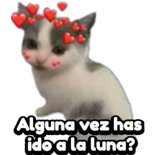 Variados 3