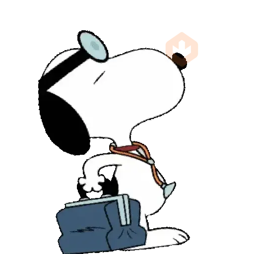 Snoopy animado 🦴🏡 sticker 15