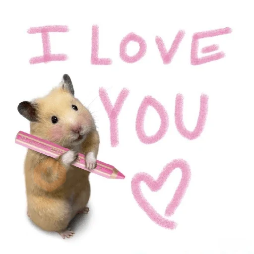 💓💓 Amor Para Ti !! 💓💓 sticker 19