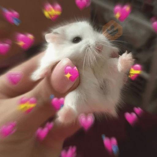 💓💓 Amor Para Ti !! 💓💓 sticker 15