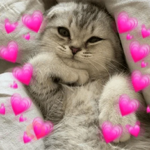 💓💓 Amor Para Ti !! 💓💓 sticker 12