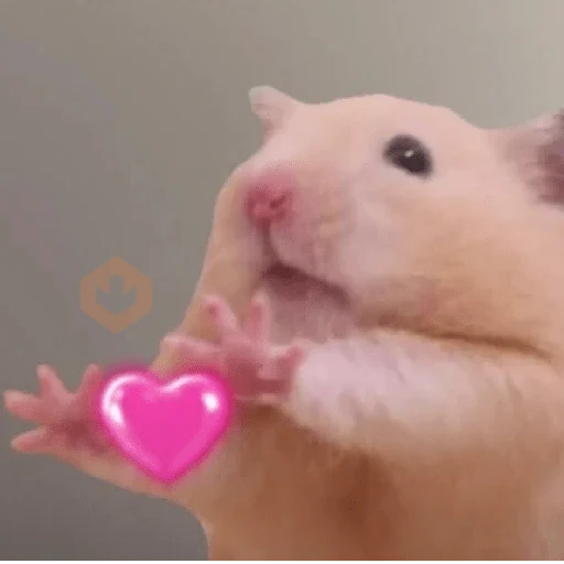 💓💓 Amor Para Ti !! 💓💓 sticker 20