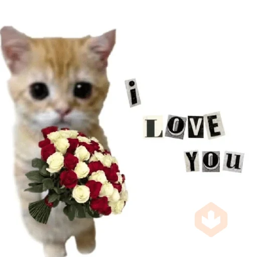 💓💓 Amor Para Ti !! 💓💓 sticker 21