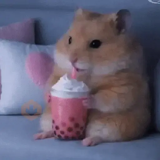 Hamster ✨🔥 TIKTOK 📲 sticker 19