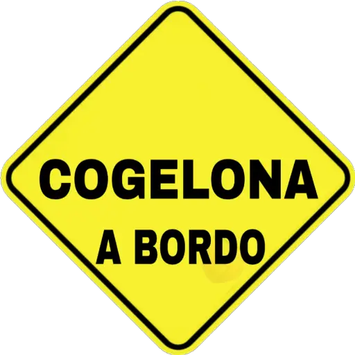 A BORDO sticker 14