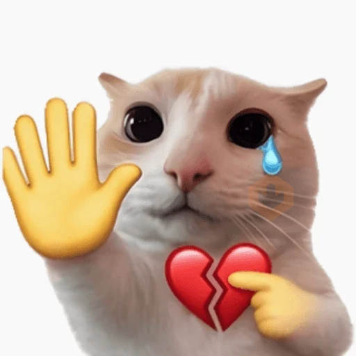 Gatos sticker 17