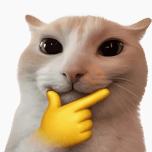 Gatos sticker 14
