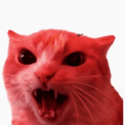 Gatos sticker 18