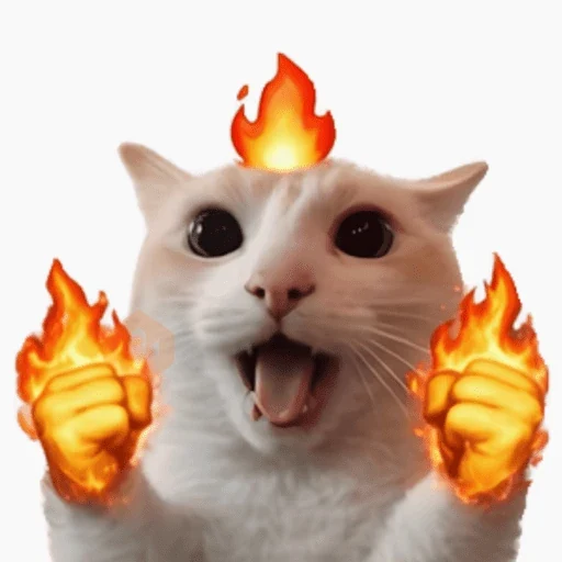 Gatos sticker 16