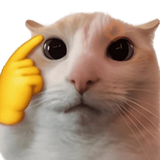 Gatos sticker 15