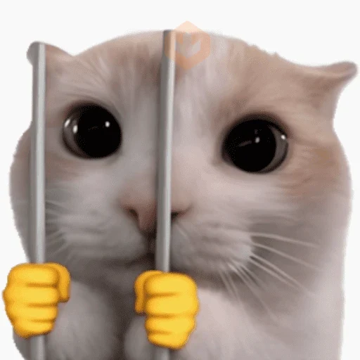 Gatos sticker 23