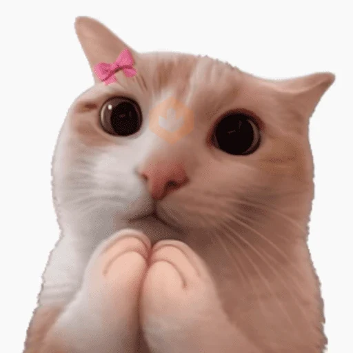 Gatos sticker 13