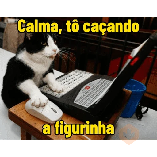 Frases e memes #04 sticker 21