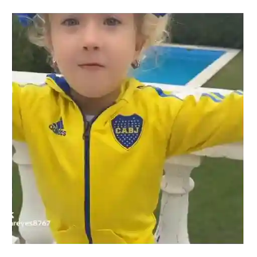 Boca juniors Fans Tiktok 💛💙 sticker 11
