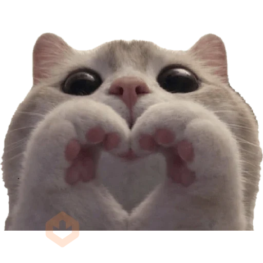 emoji sticker 12