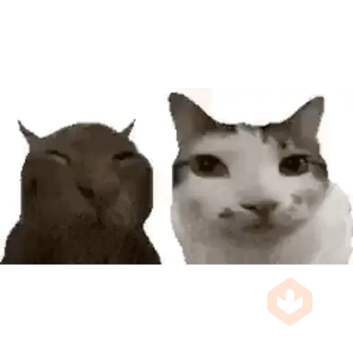Gatos nachosauriooo sticker 21
