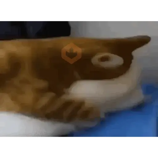 Gatos nachosauriooo sticker 18