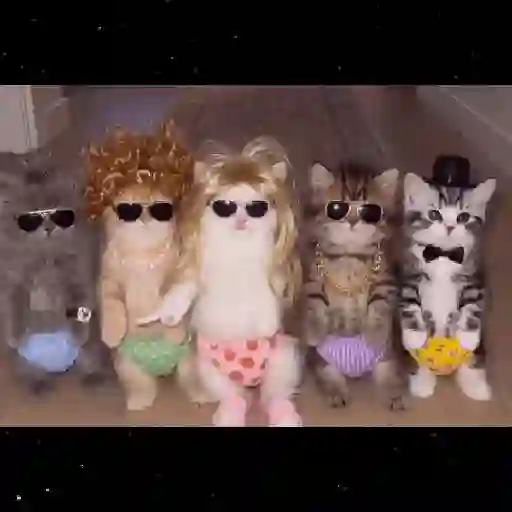 Gatos Dance Tiktok😺🍓 sticker 20