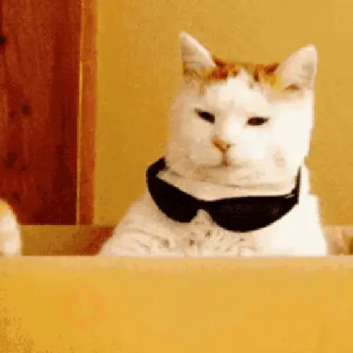 Gatos facheros Moods sticker 12
