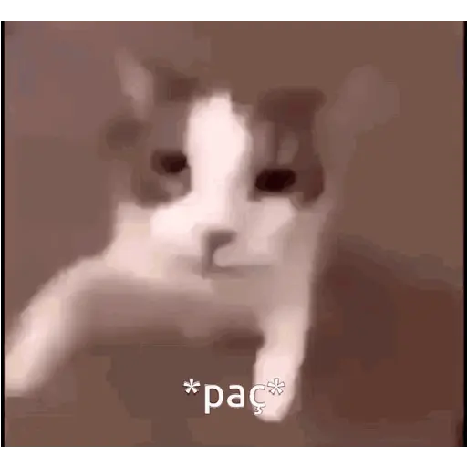 Gatos facheros Moods sticker 14
