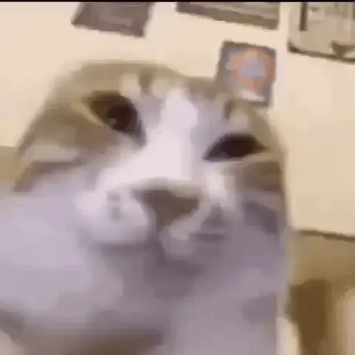 Gatos facheros Moods sticker 15