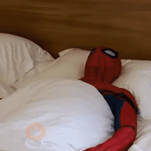 🕷️ SPIDERMAN PAL CHAT 🕷️ sticker 12