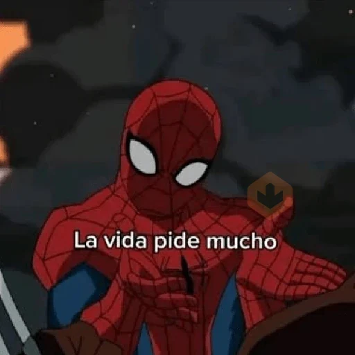 🕸🕷 Spiderman Memes 🕷🕸 sticker 17