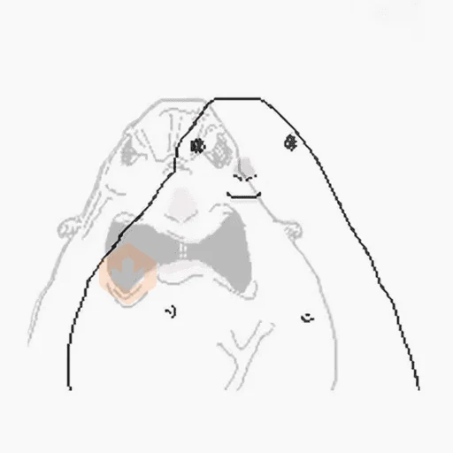 Hámster dibujo meme sticker 24