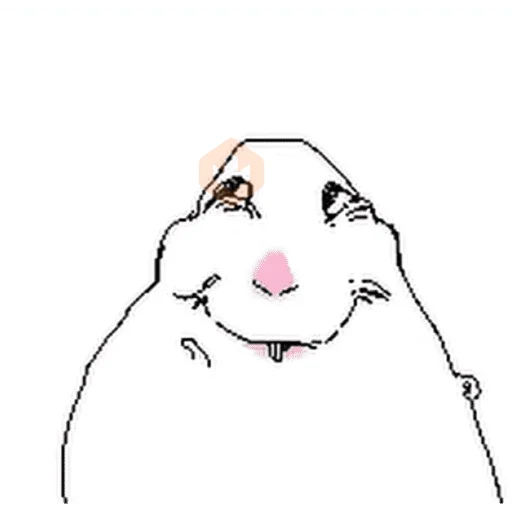 Hámster dibujo meme sticker 18