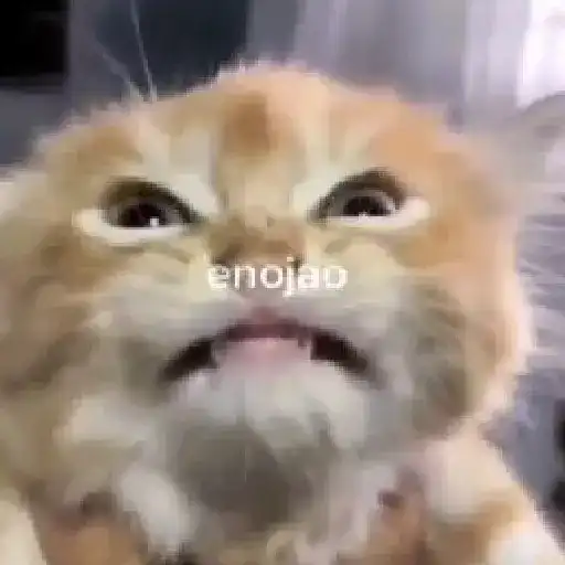 Moods Reacciones Pal Chat 📲 sticker 16