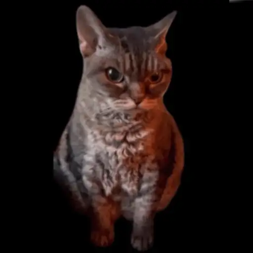 Animal Meme sticker 12