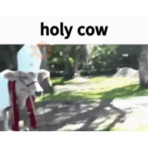 Animal Meme sticker 28