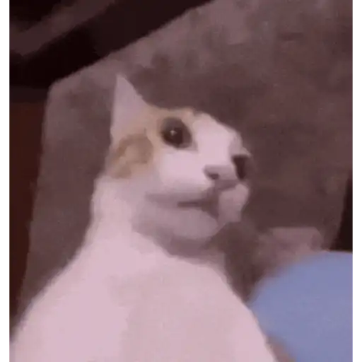 Animal Meme sticker 23