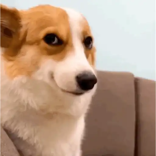 Animal Meme sticker 16