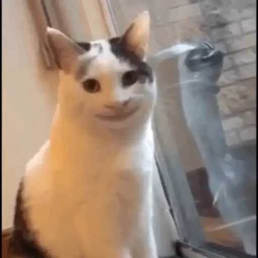 Animal Meme sticker 20