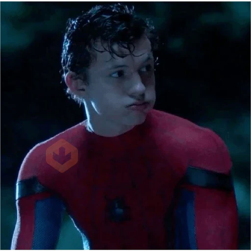 Spiderman sticker 16
