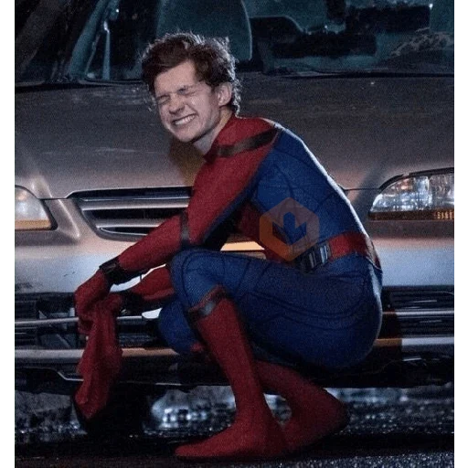 Spiderman sticker 14