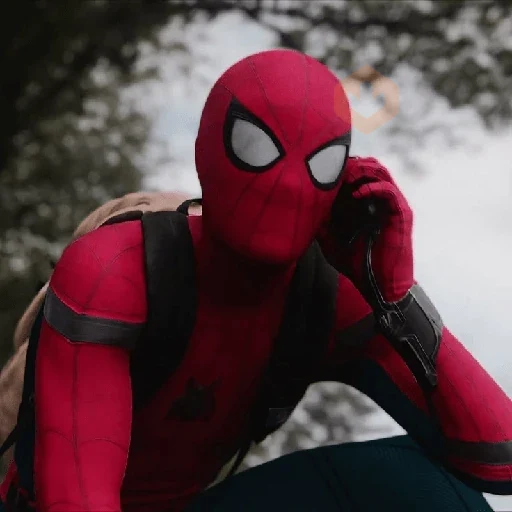 Spiderman sticker 15