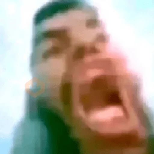 memes famosos no Tiktok sticker 22