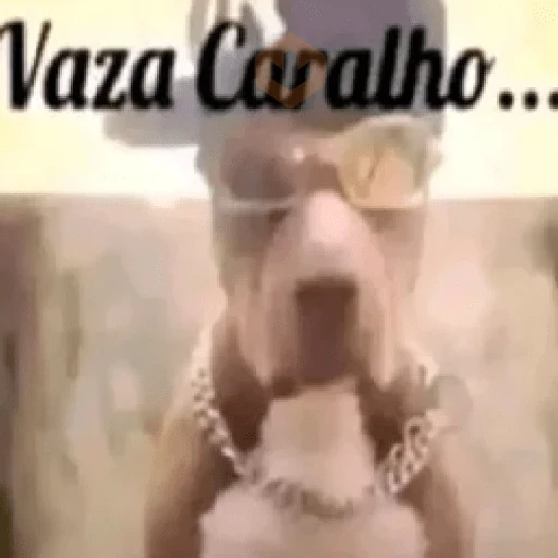memes famosos no Tiktok sticker 23