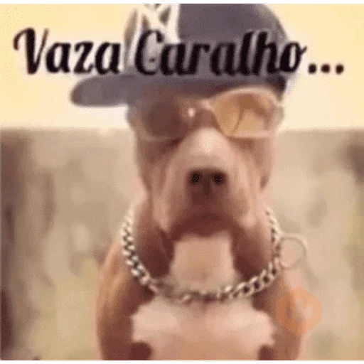 Memes do tik tok sticker 21