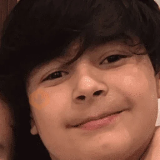 Memes do tik tok sticker 16